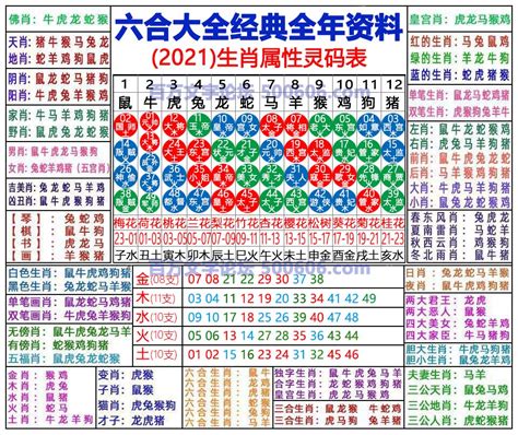 61岁 生肖|2024年生肖表 2024年生肖表图